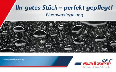 Ihr gutes Stück –Perfekt gepflegt